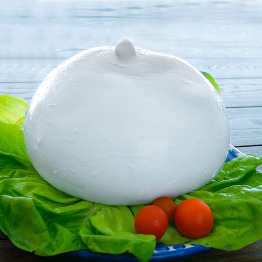 fresh buffalo milk mozzarella