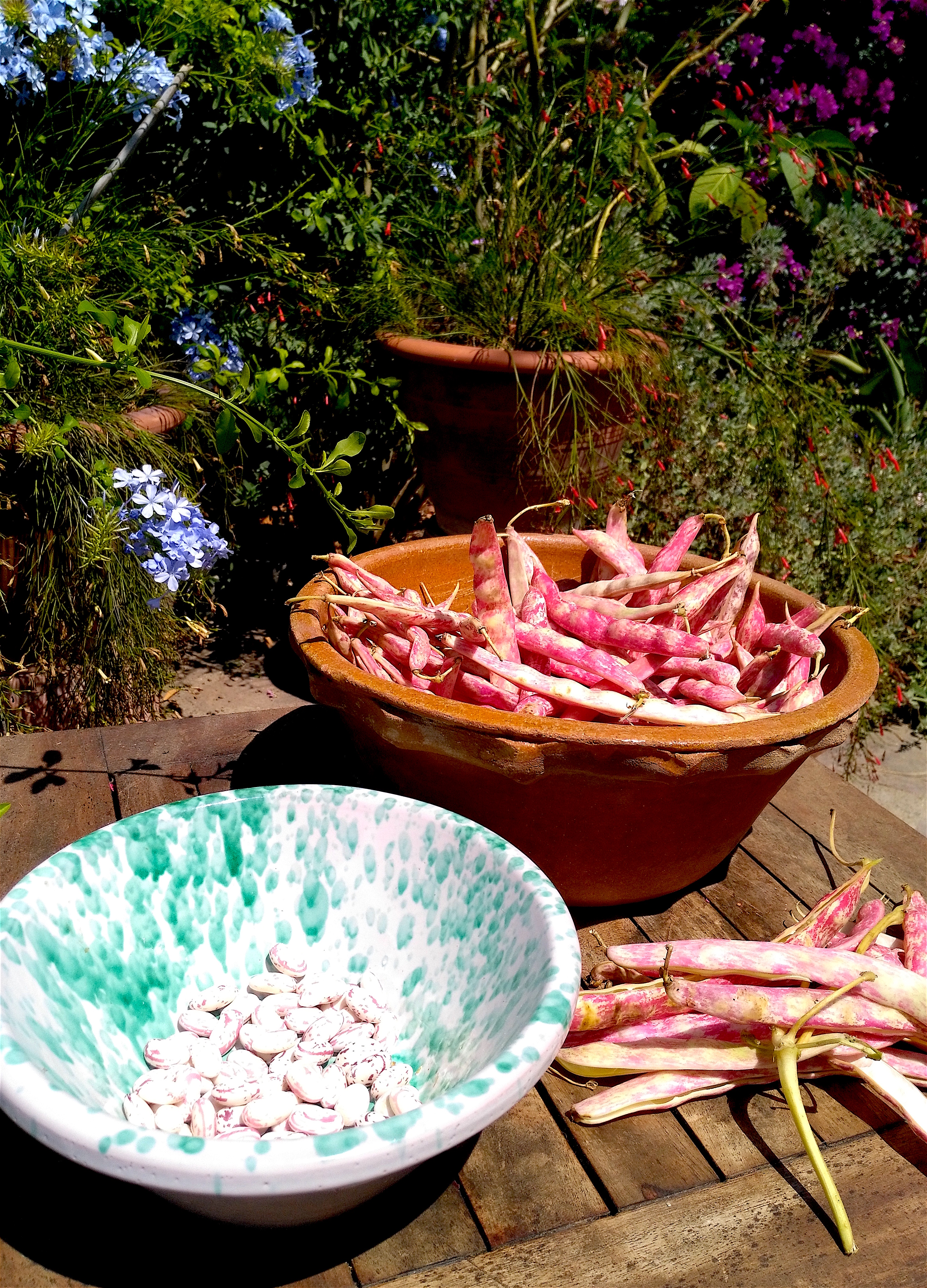 fresh beans