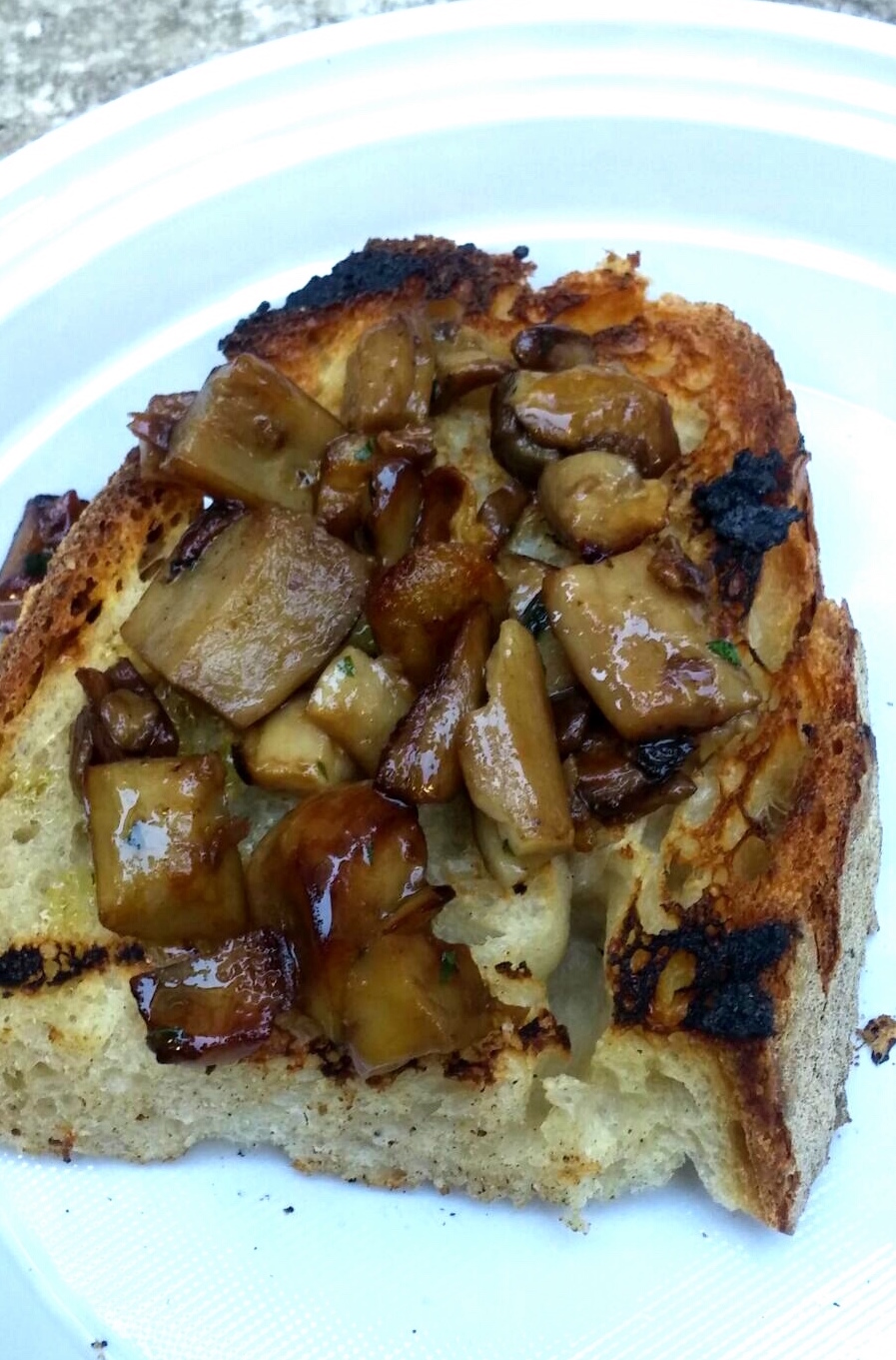 Mushroom Festival Cusano Mutri