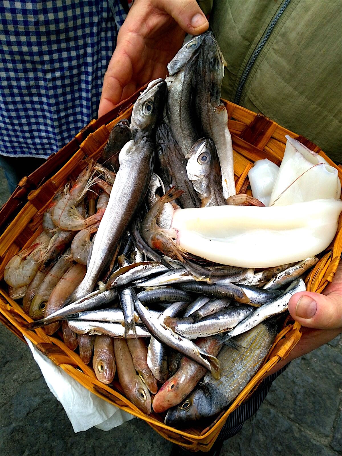 fish & seafood