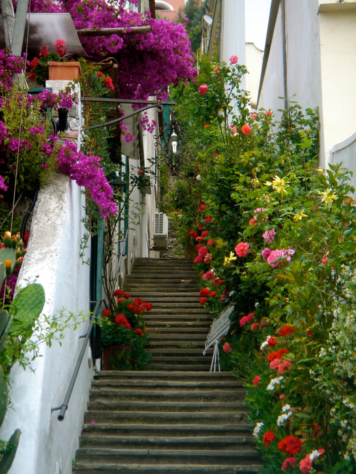 Campania Food and Culture Tour