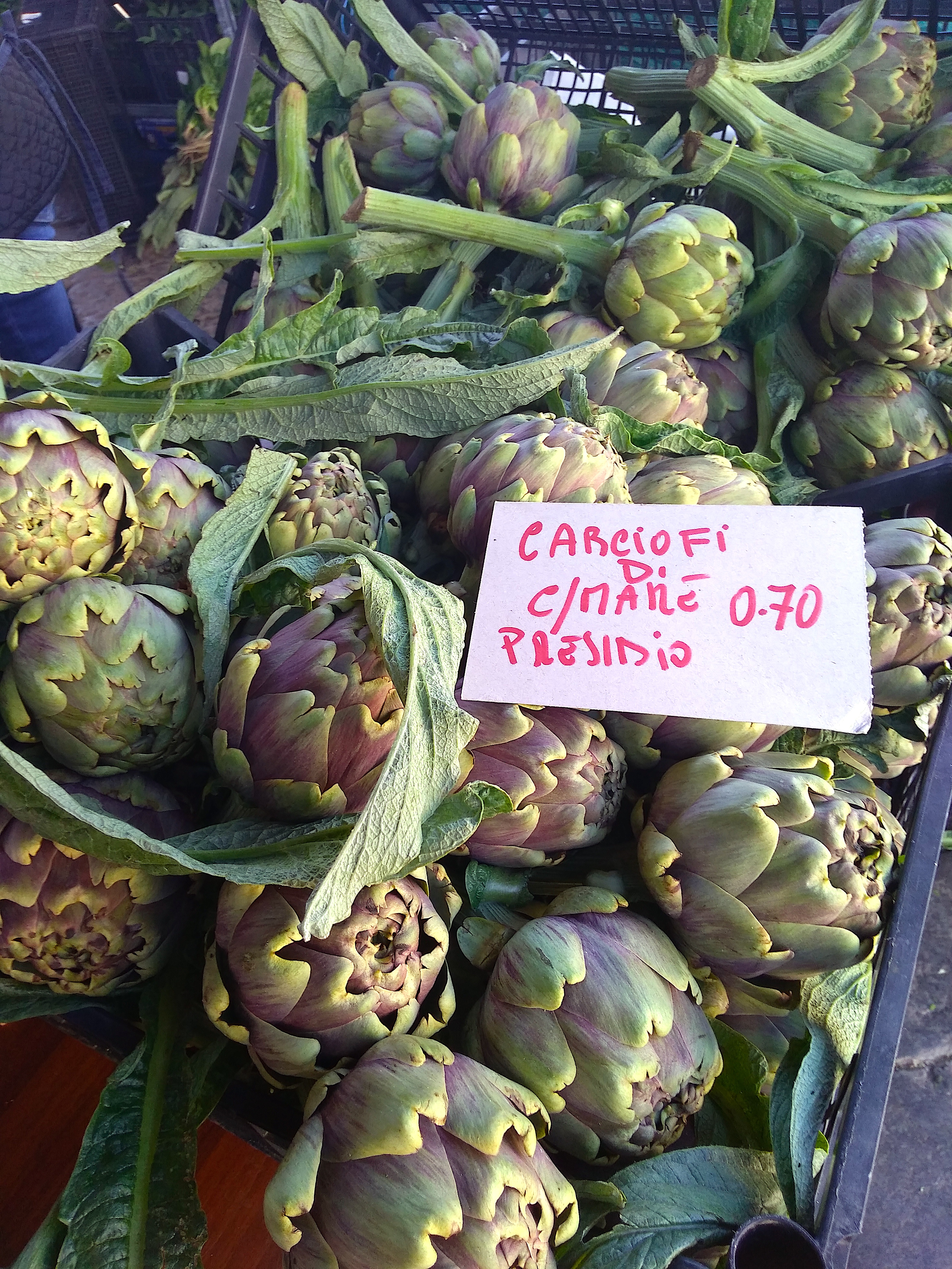 artichokes