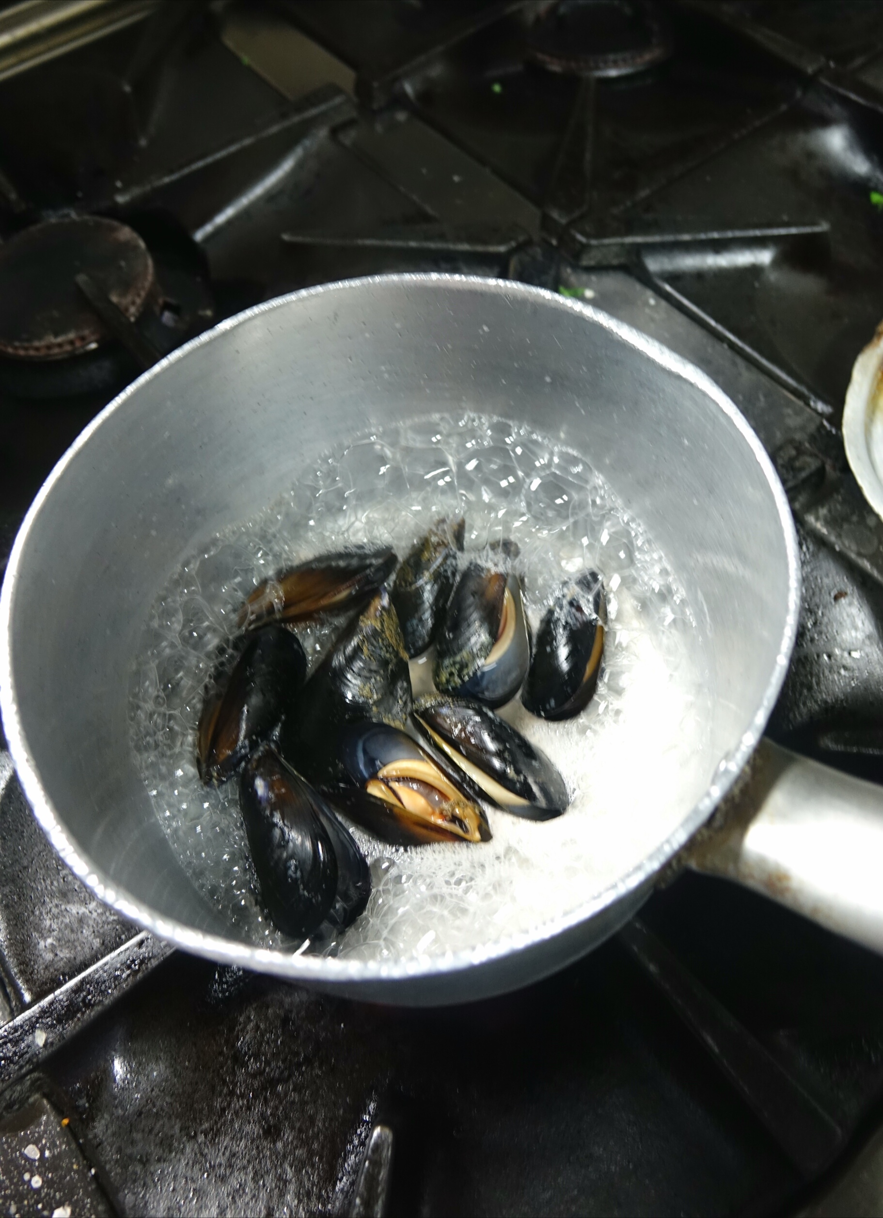 mussels