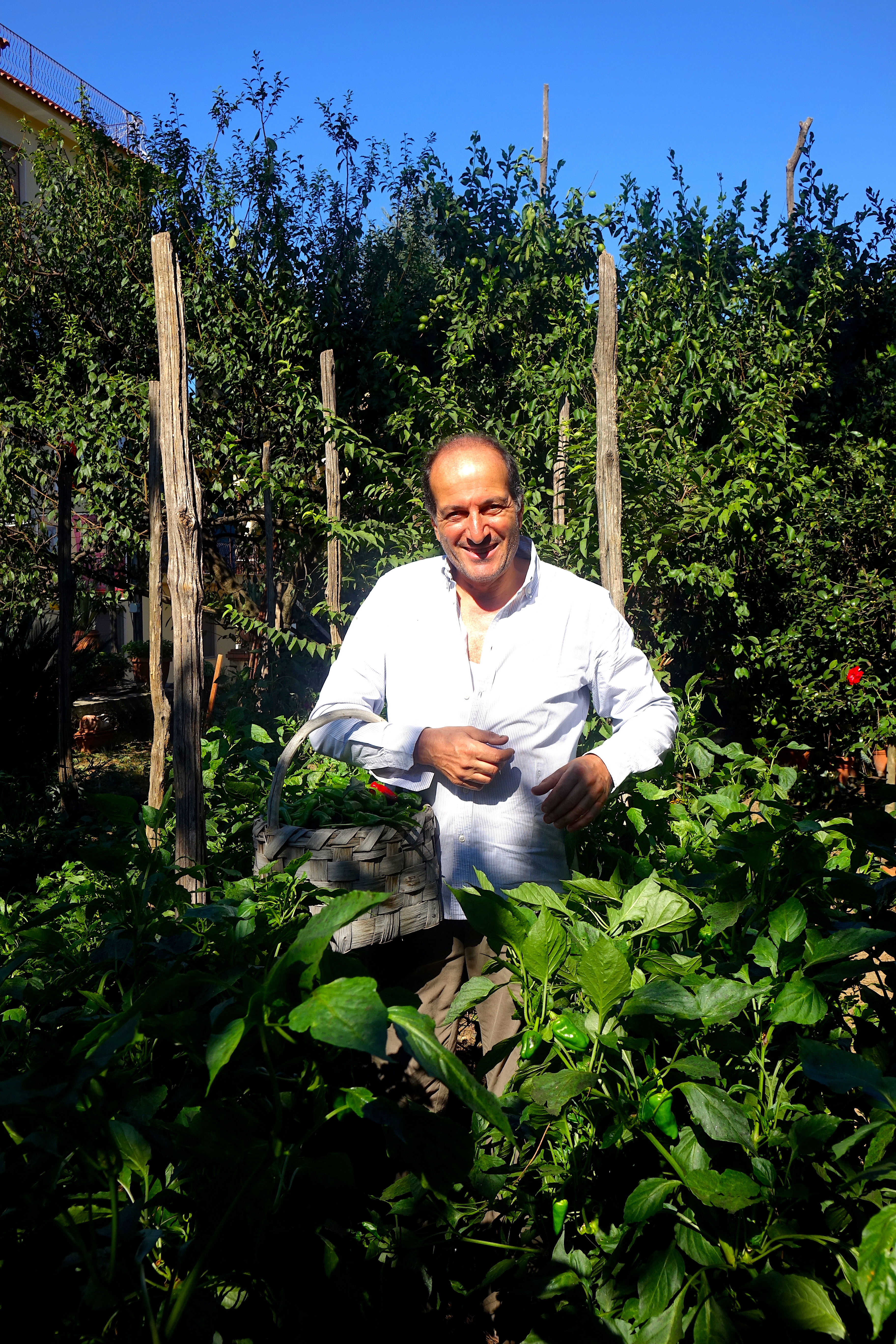 Italian sweet peppers