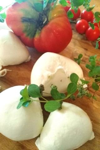 cooking classes
