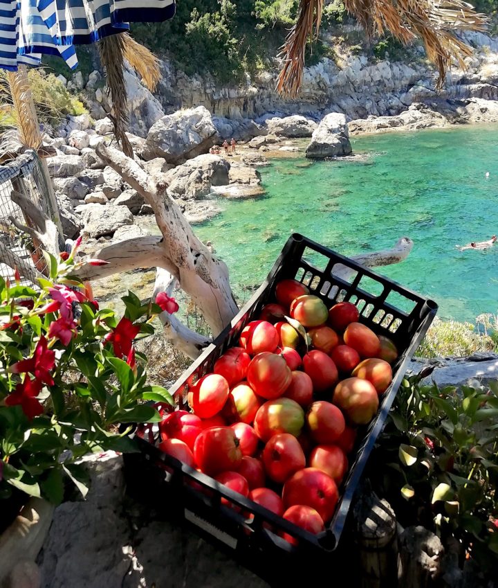 bountiful summer workshop