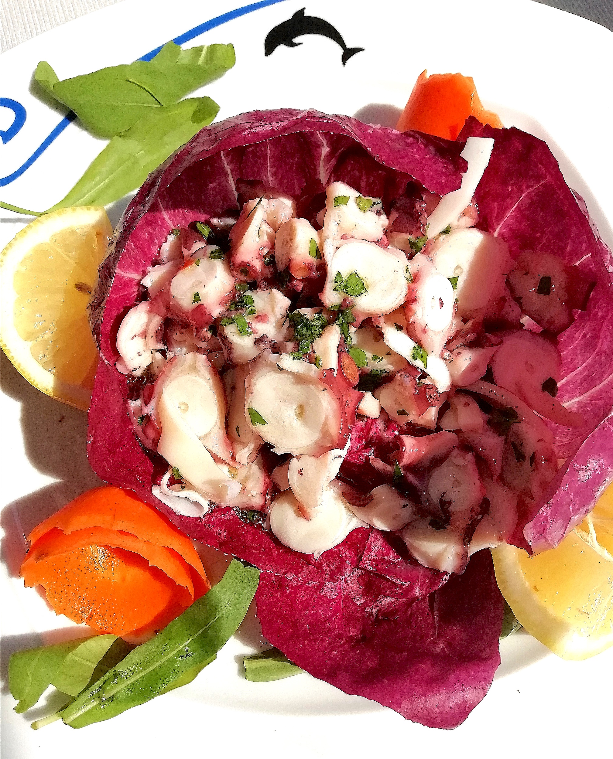 Ristorante Bagni Delfino Insalata di Polpo