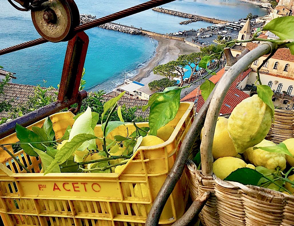 Amalfi Lemon Experience