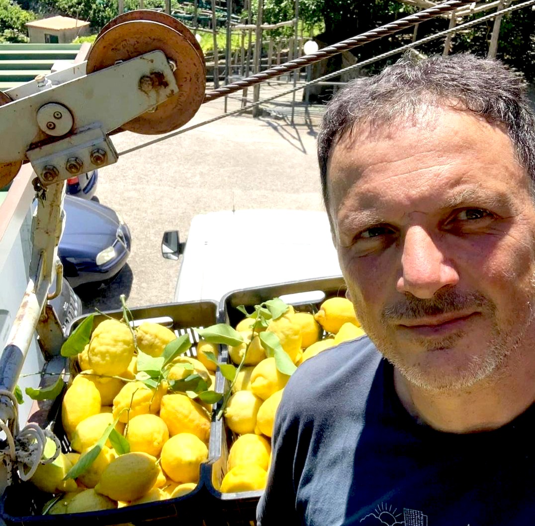 Amalfi Lemon Experience