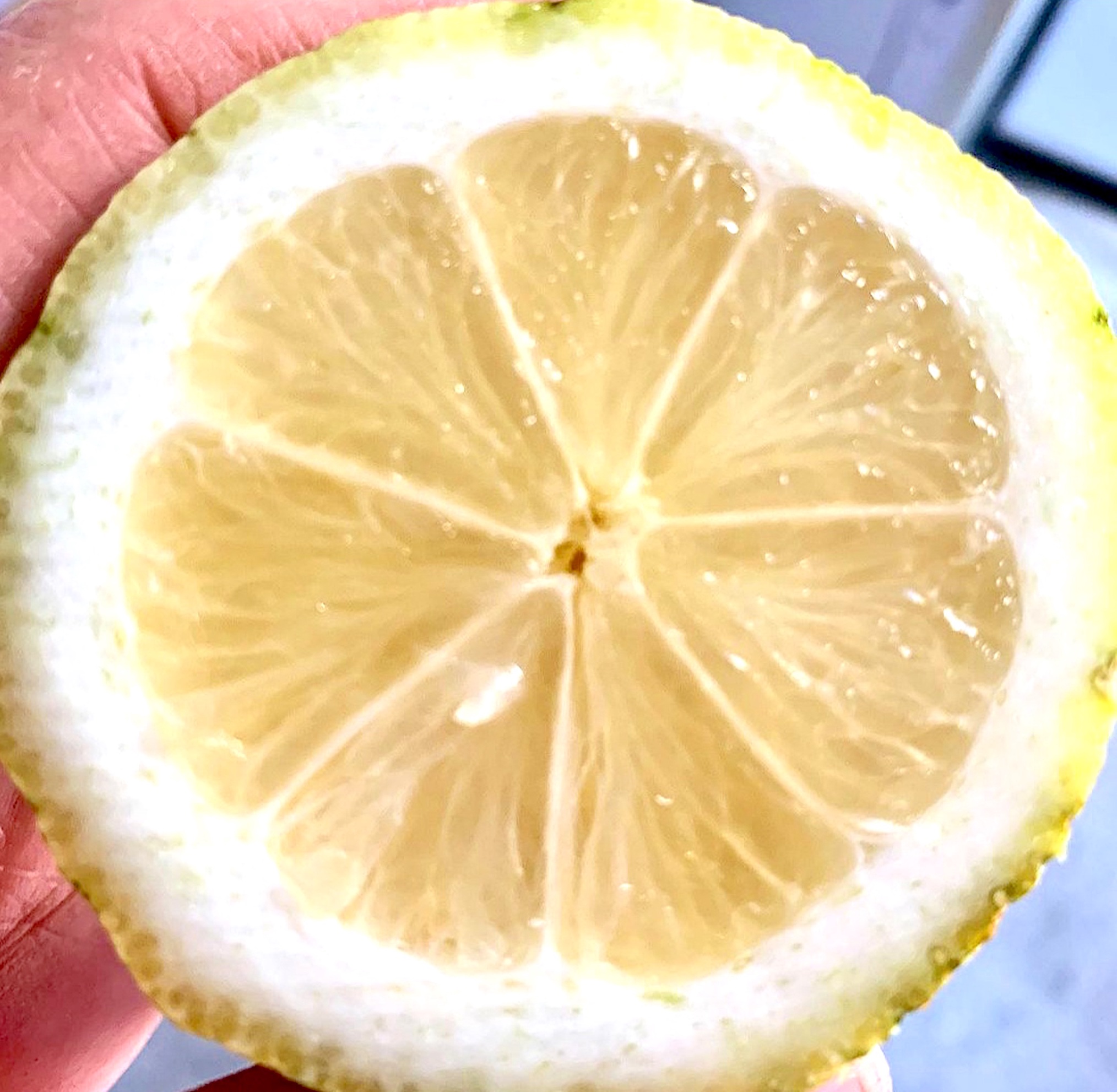 Amalfi Lemons