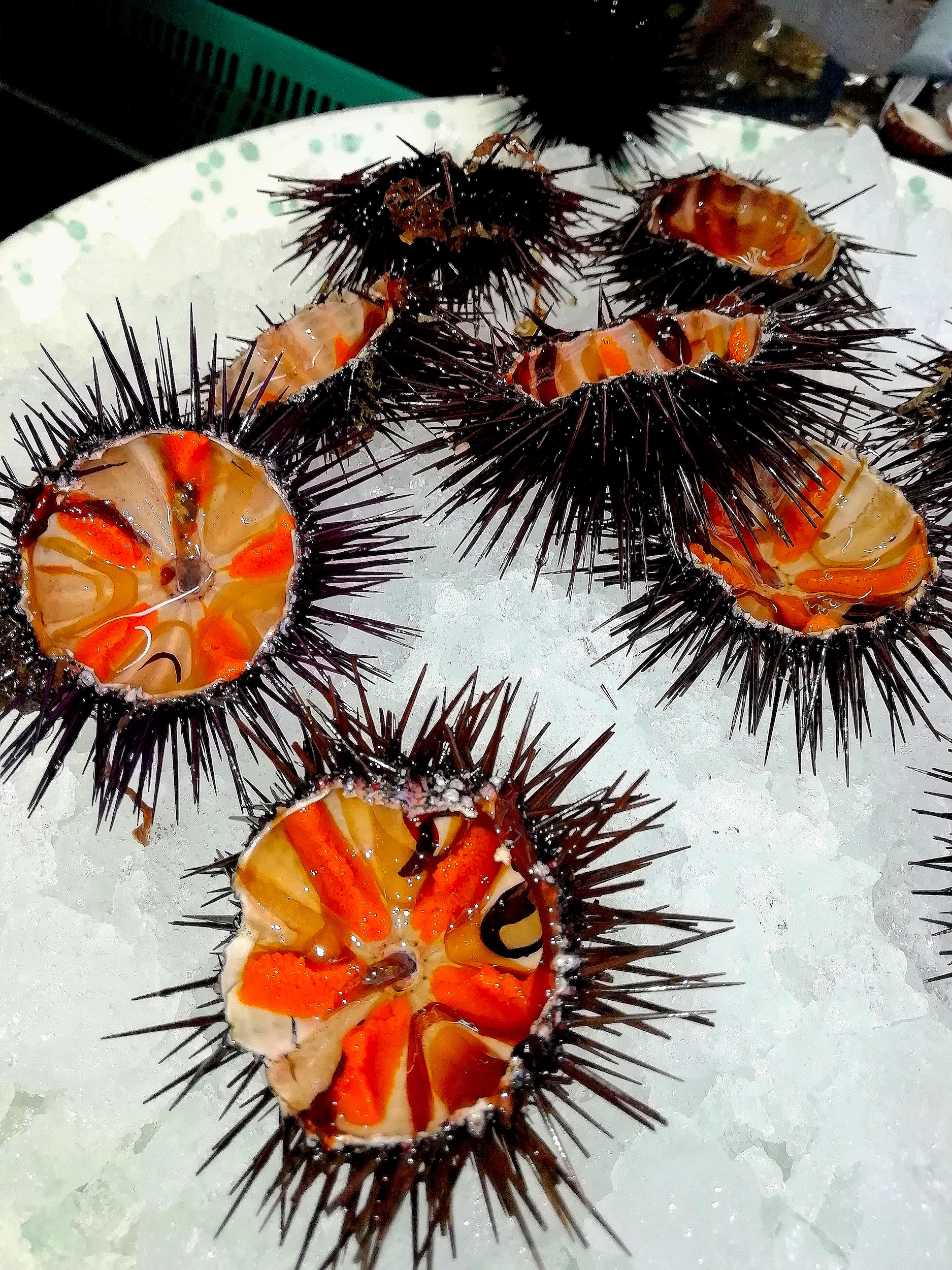 Lo Scoglio Tastes of the Sea