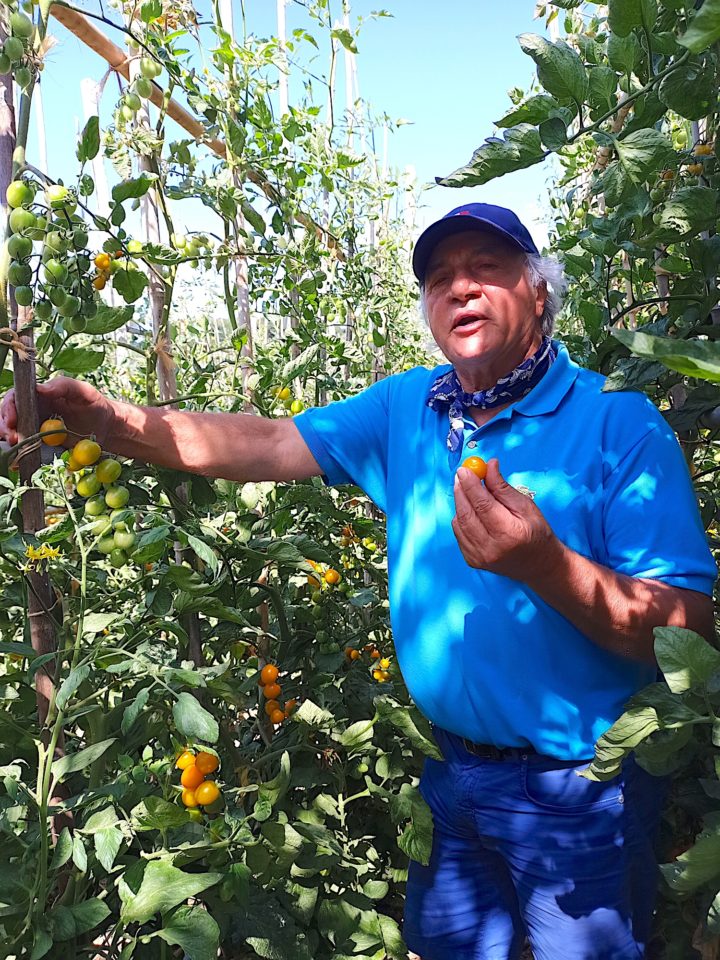 Lo Scoglio Sea & Farm to Table