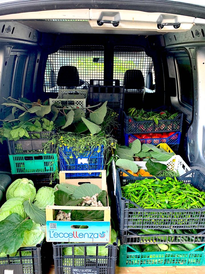 Lo Scoglio Sea & Farm to Table