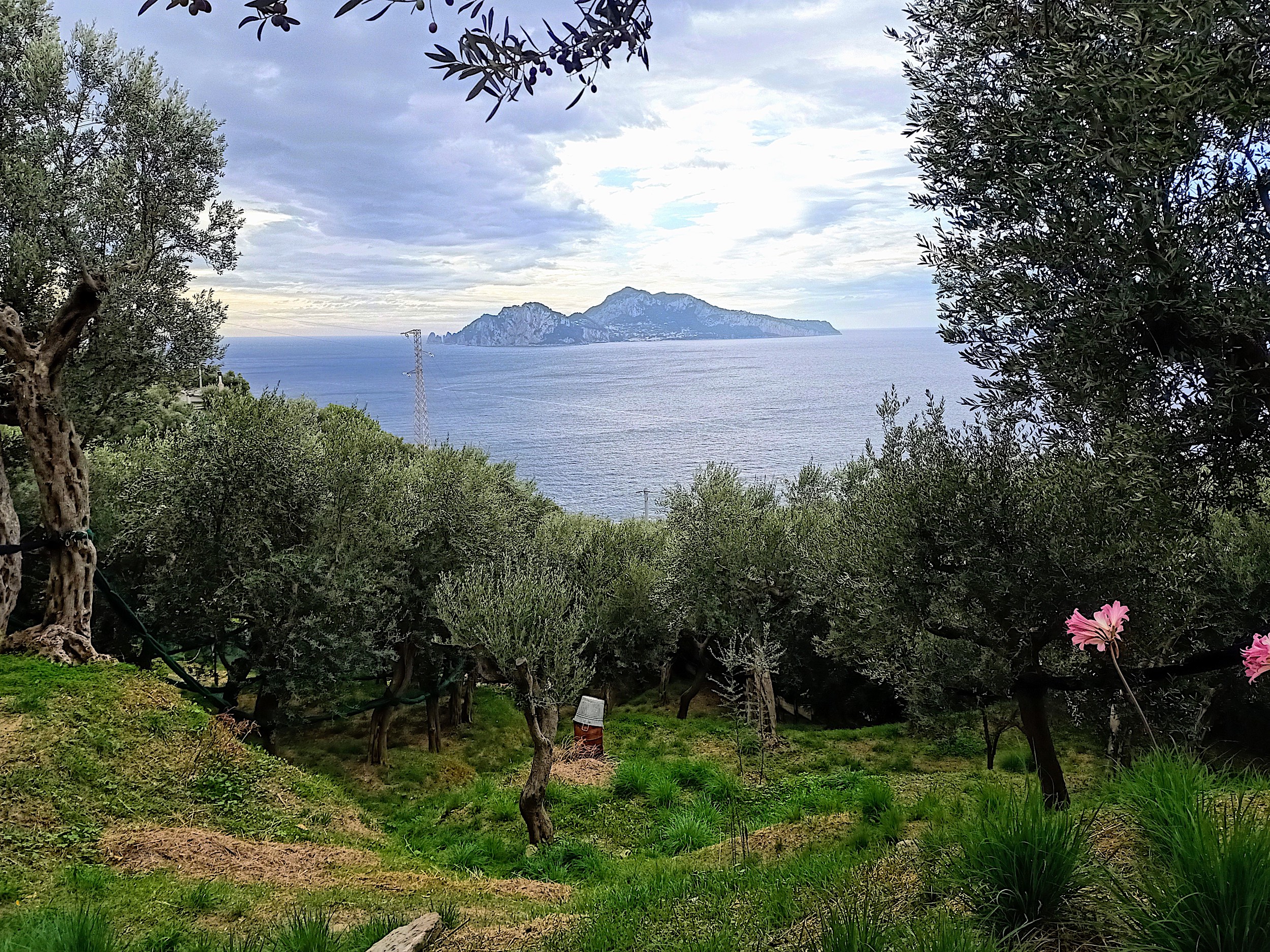 le Colline Lubrensi - Capri