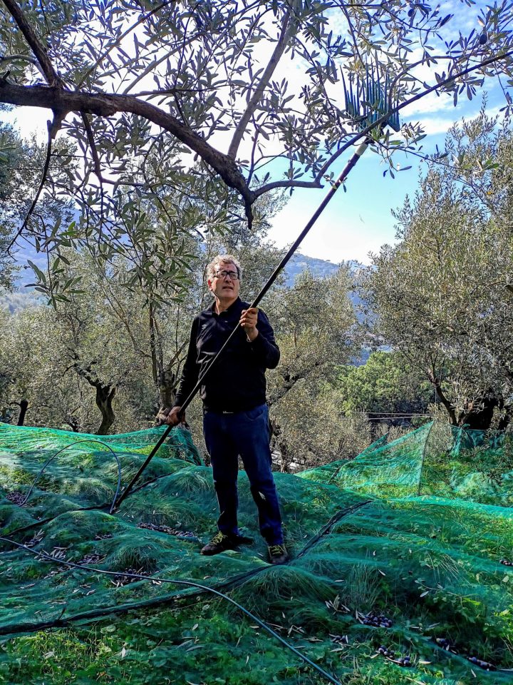 Le Colline Lubrensi - Giuseppe Pollio
