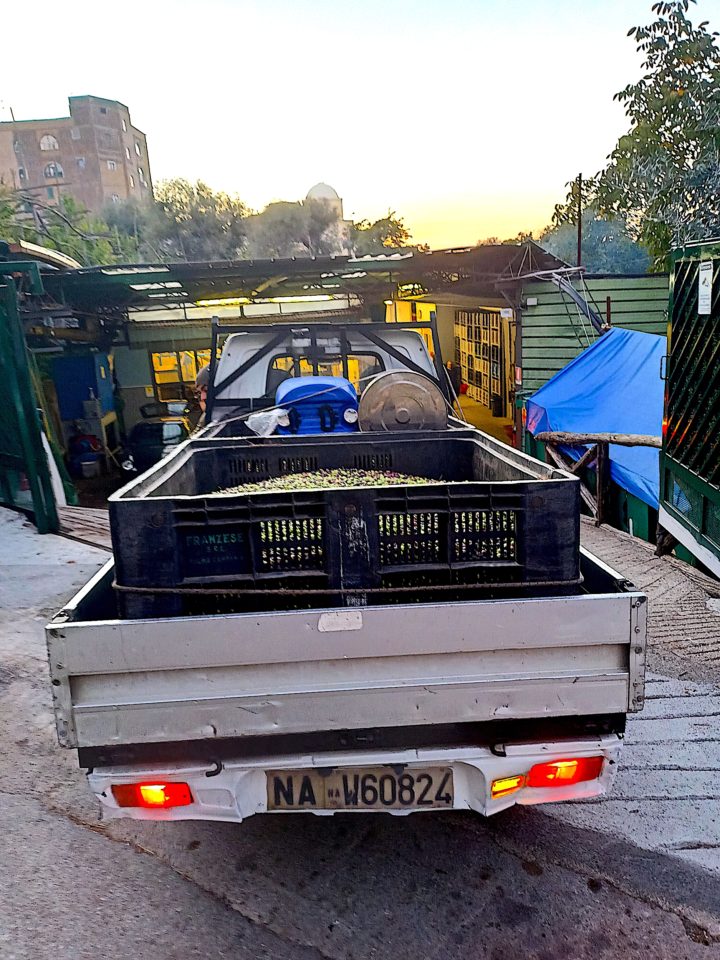 Le Colline Lubrensi - Apre Frantoio