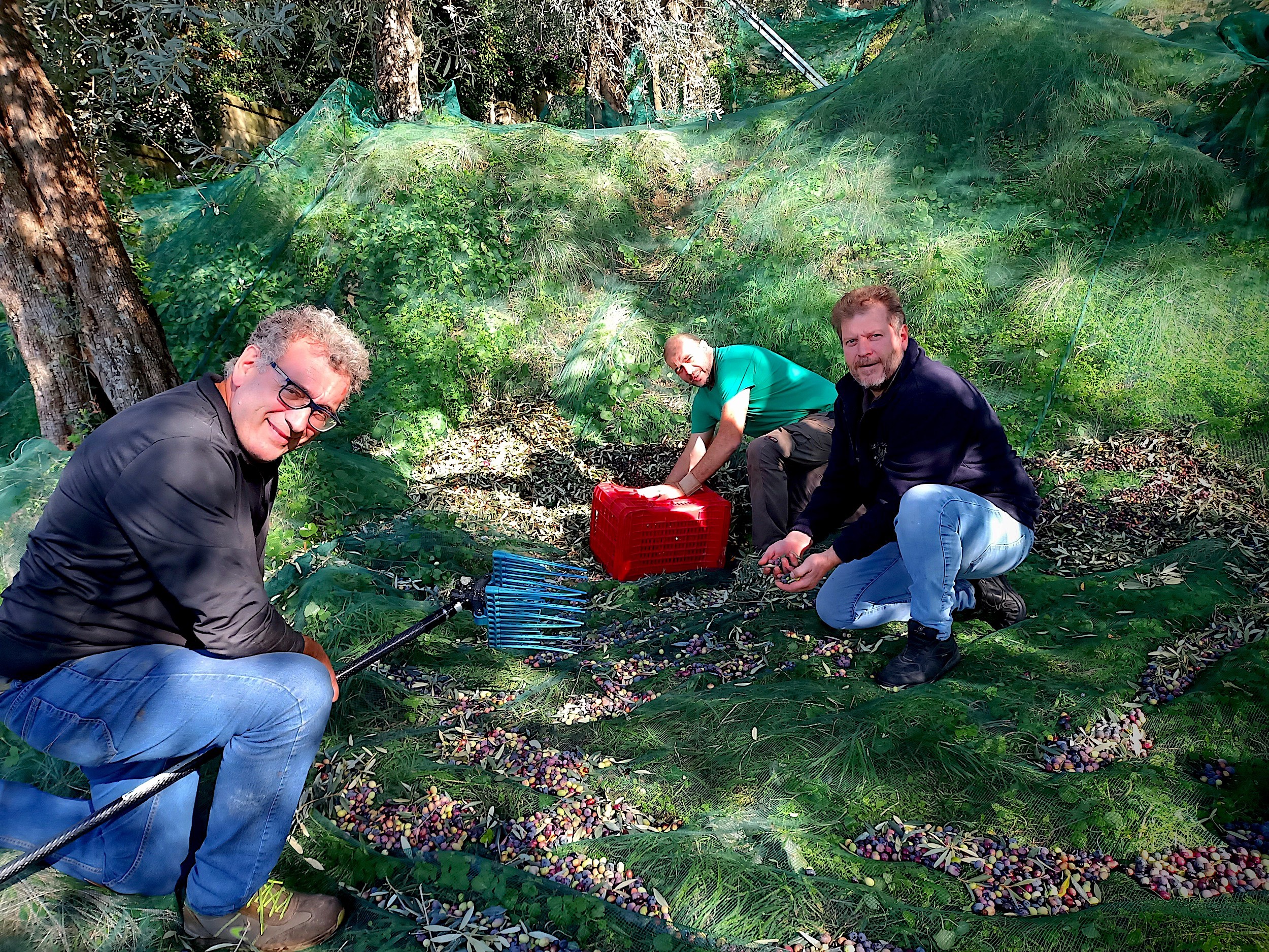 Le Colline Lubrensi Massa Lubrense