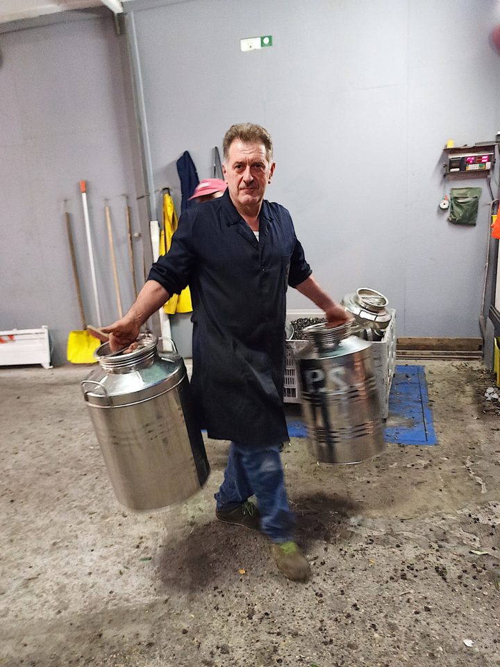 Le Colline Lubrensi - Frantoio