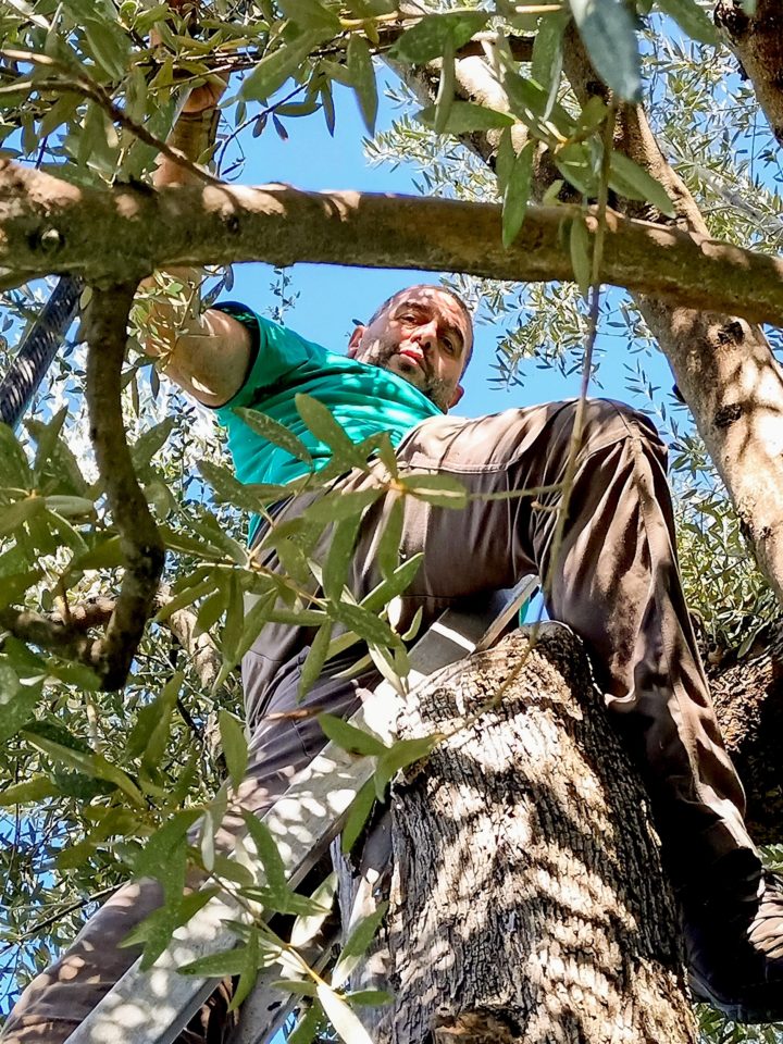 Le Colline Lubrensi - Claudio Pollio