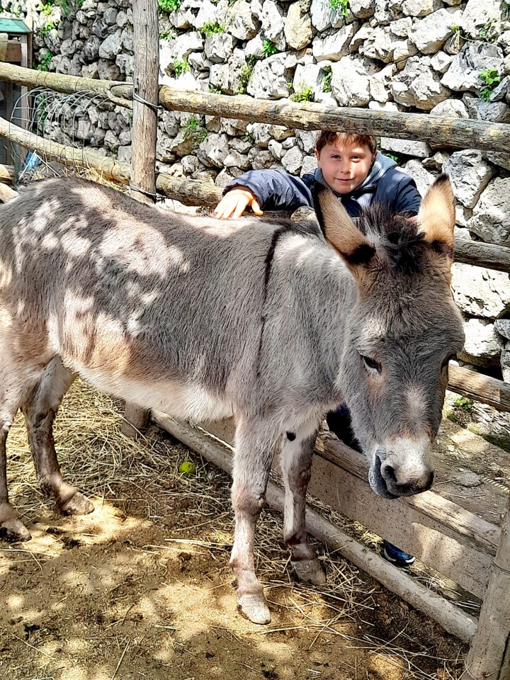 Fattoria La Tagliata Farm Animals