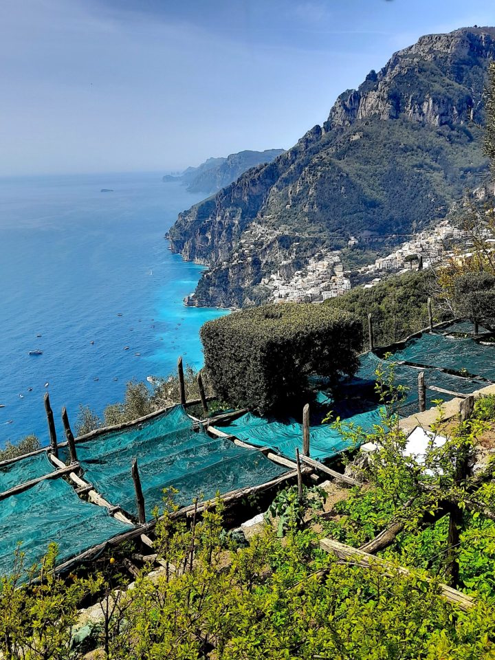 Fattoria La Tagliata Views