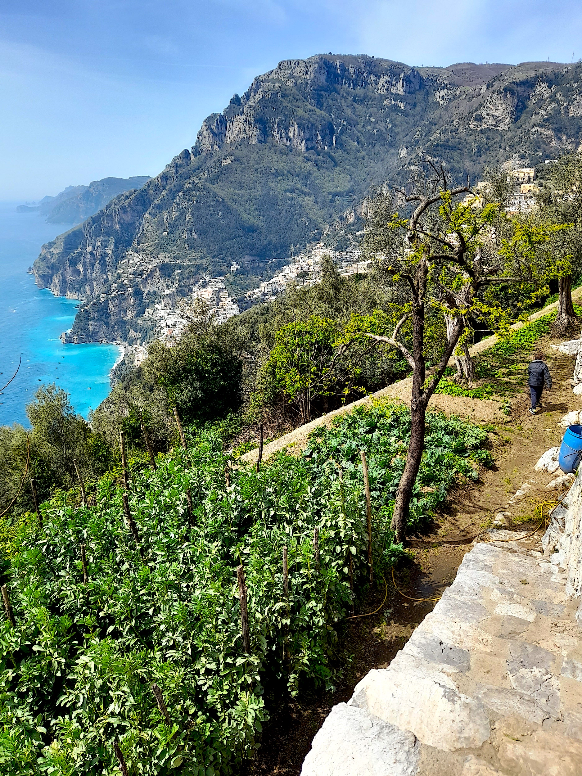 Fattoria La Tagliata Positano Farm to Table