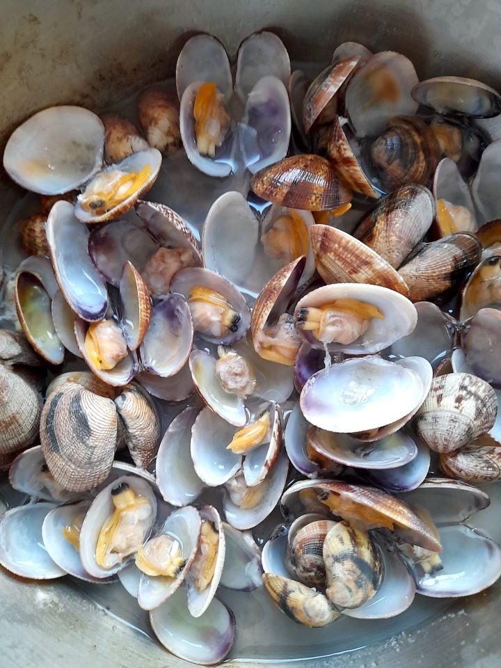 Chickpea and clam Soup Our Edible Italy