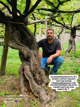 An enchanting discovery of a historic, storied vineyard in Tramonti,  where each step amidst the ancient trees also seemed to whisper tales of the past,  and wine tasting @tenutosanfrancesco with Giovanni Giordano - one of the Amalfi Coast's top wine makers 🍇 🍷 #tenutosanfrancesco #italianwine #slowwine #italianwinelover #italianwinery #winery #tramonti #amalficoast - #ouredibleitaly