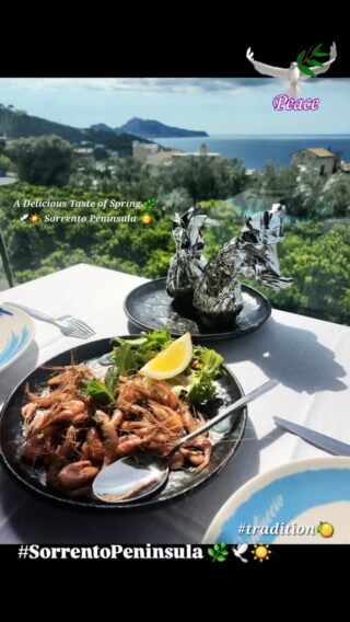 A taste of spring - the tranquil beauty of the verdant countryside and blue sea, a tasty bite to eat of local specialties @ilcantuccio_massacentro , including the delectable "Gamberetti di Crapolla," that are fished in the deep, cool coastal waters off Massa Lubrense, and scenes of the Palm Sunday community gathering for mass, where on the Sorrento and Amalfi Coast, the olive branches are adorned with symbolic items, like small cheeses (caciocavallo), small salami, colored sugar almonds, and colorful ribbons and blessed in the ceremony at the church. #spring #lifeinitaly #tradition #Sorrentopeninsula #palmsunday