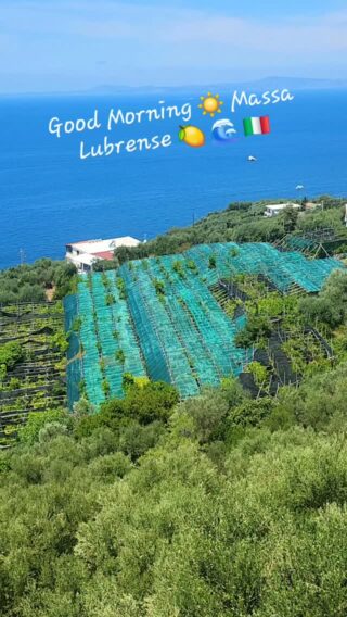 Early morning hike and a "Buongiorno" to all of you,  from Massa Lubrense 🍋🌊🇮🇹 - #LifeinItaly  #MassaLubrense #SorrentoCoast #beautifulplaces #ouredibleitaly