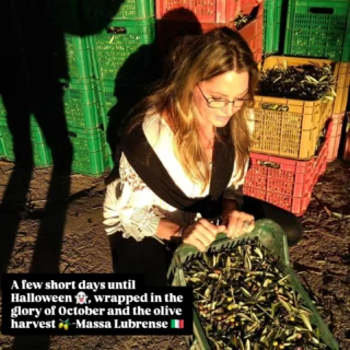 A few short days until Halloween 👻, wrapped in the glory of October and the olive harvest 🫒 #fallvibes #lifeinitaly #oliveharvest #massalubrense #ouredibleitaly 🇮🇹